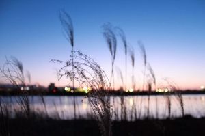 F5e99c540875be0334d7bb398f2ab358