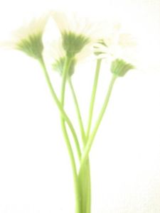 70d55b0812136db5fd1b993d479cd4b8