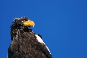 63190e4e77dca4379f8fcdf812b23091
