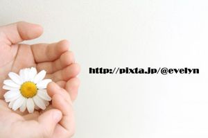 7625e6390dbb18ef04d629c2cf768797