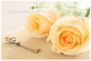 2e28582ca15c10f8903fb60d681480b4