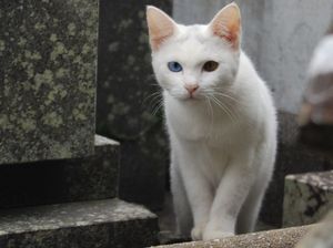 E6731a7e15fd7530518ad3d51d083b65