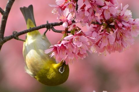 D7f4816fc06989ef83eded9c41425a2c