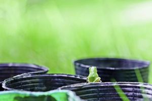 925016fbdc4c935f2daae2eac7abba2b