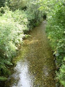 Aaf32f481de1cd4a631ad131617b76e8