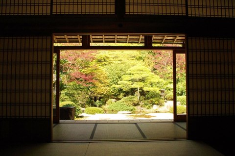 B72487af1de7fa6f1852a4b365ec5d64