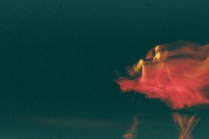 31ef8c3c4c930d5a800d6ef14acbed10