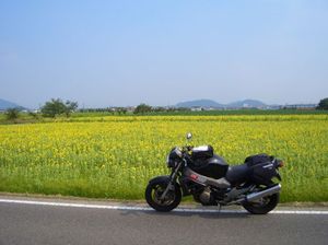 D901f17032ab1492d58fe15f64665289