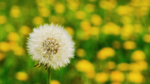 3ed6dbcbb033fbe28f6c6f92cbd72056