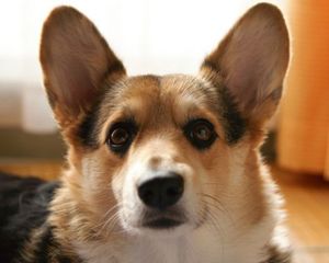 079dcdc0168e85c88258292f1e8a50ab