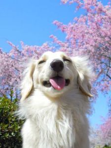 8d193e0a33475d8bf63811e259efbb7b