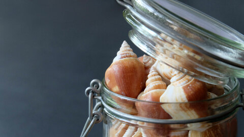 44df68cd8b66598e5c96d1be5296c236