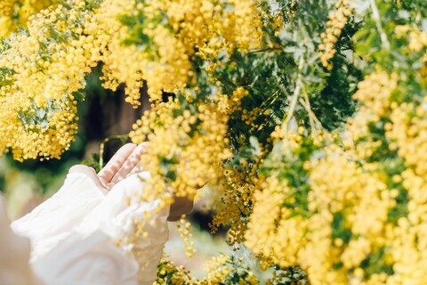 4a335a8c3e330800deb268348389672a