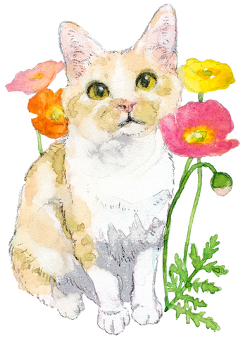 D7199f384a449254e5dbdc0992c269f9