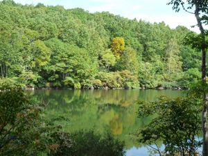 0b4899aee4e9fa89fa518185ec1f629f