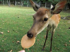 435da2f960e2c0b75902cc3756bc85c0