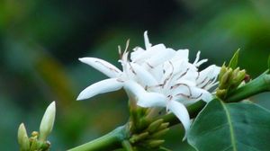 E5c9f1d1dfe54b52e874112c19b5124b