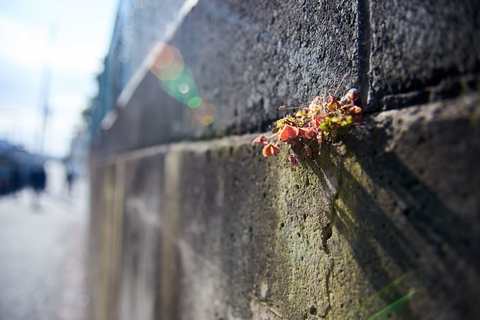 97ae9e8eb354b43a809593d9060eee41