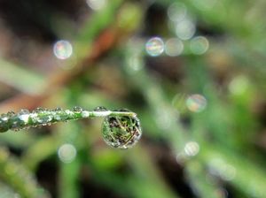 0861980288208df3de18b220584159b1