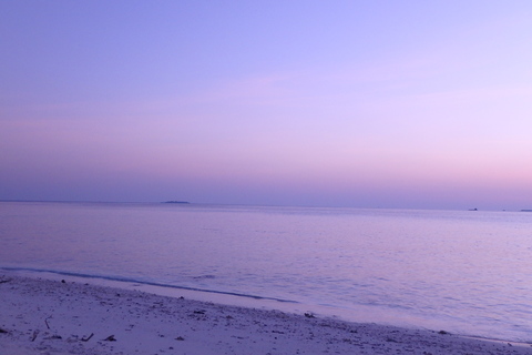 8be1fabb858eeb613f62180f7ead1f73