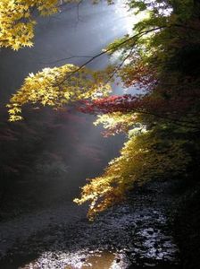 F5459b4d2f9c172aef0cc319e68e0b90