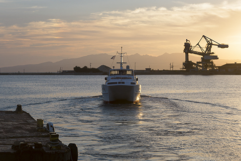 B99f323a12a2b8c5a37d01b1c3044061