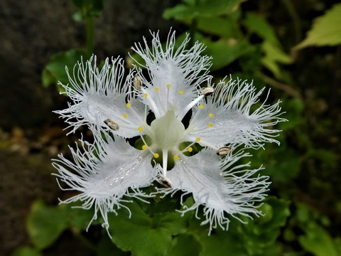 Fb212746e145ff54635507adc1a46b33