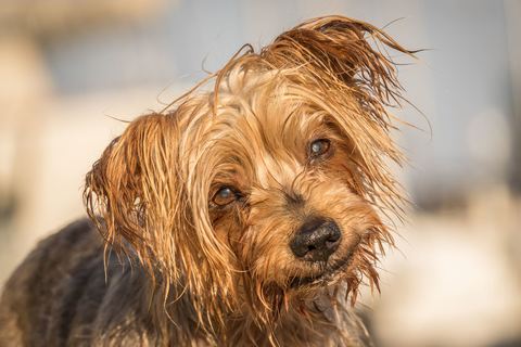 Fb0524b7799850e6694938e2ca9e0671