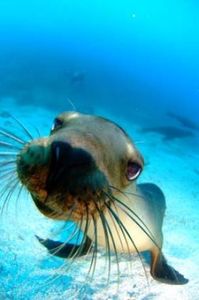 B4f77fd1656c68fbe9724d56e69daca0