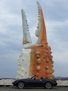 07ae5438825929948a04bdacfc84ecd2