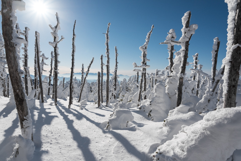 4ee0667a76893764383c2b8e7f4dff49