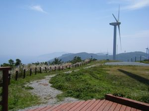 C8396a575c155106b07e57c14399aa06