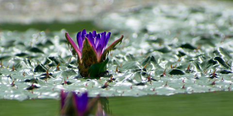 Db80a2a32e48ab76e45e92d3b1aad7ac