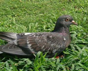 0bbd4775e549bb3e9d69a6f2fe1607fd