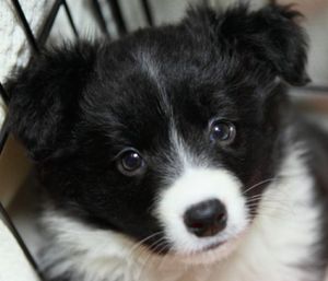 Efd7b6f0f28449636c3eba4c75dbf6b5