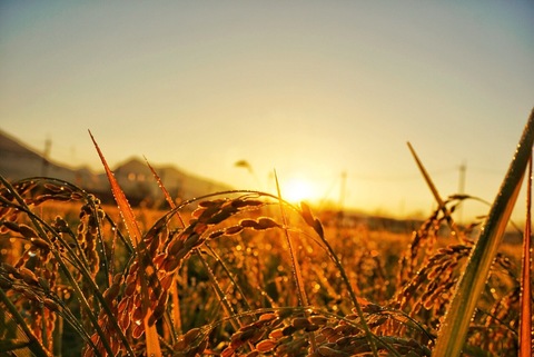 Bf71b772bbbc05c8f3eb10b0517b77a9