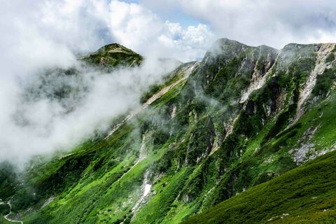 Cc07fbccb2ebefe4148ef580fae8d51c