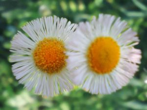 00c76ee93cea4fd3d40274935e9cb046