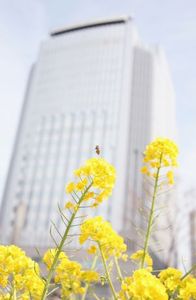 C0bade8fabd841a38df1ddf1608ca7fa