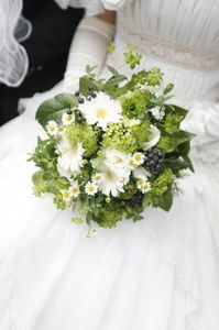 59d926aad3cece480e019c7afd663a30