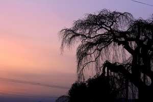 075cddf9ab7416b6d71072e0751b45f3