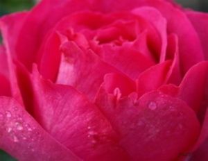 0a61fb29dd2ecf2b3e33308897fb06df