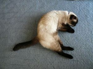 E3898bbc894164279c1bc8497cec2a24