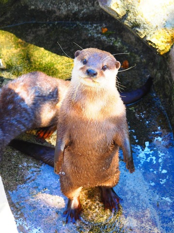 8f945c9f9848eef9ad5bb1d68b6ec084