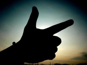 C9e383e983278ecde2f73b87ceaa977c