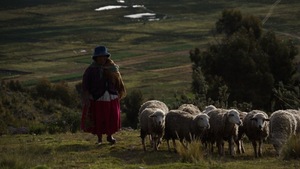 457f70154090f2fbf8ab8bee6589c097