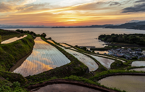 Bffeecf75a2f362dd87fe641037b692c