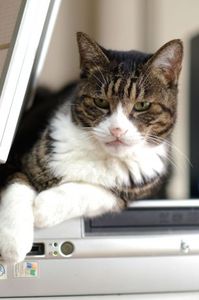 Fa3e9569455fcfd1028068b691e3d01a