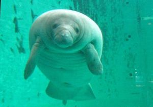 Abefdd46be62376e2039f8e4e4e5d347