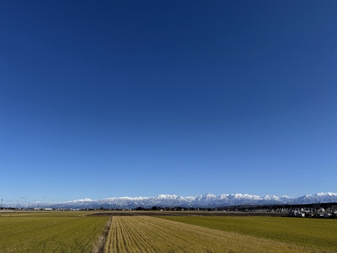 1548828e26ea612aba63644b288e6270